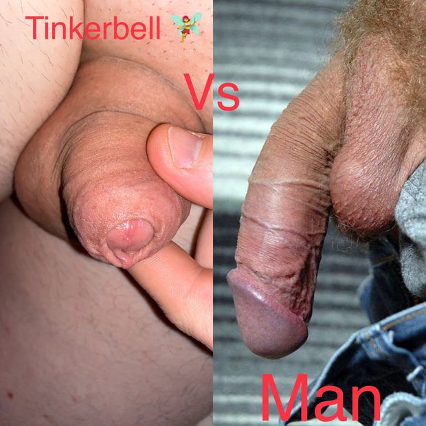 Tinkerbell :) comparison (Beta vs Alpha)
