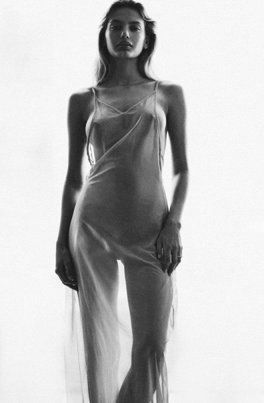 transparent