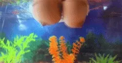 Get your tits out of the Aquarium! ????