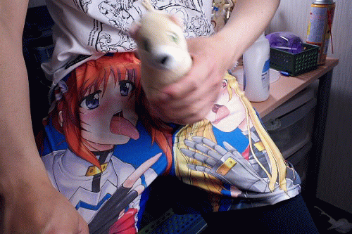 Stroking the Ferret