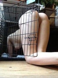 Crawling in for the night after being filled with cum