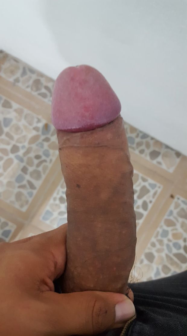 Thick-headed cock