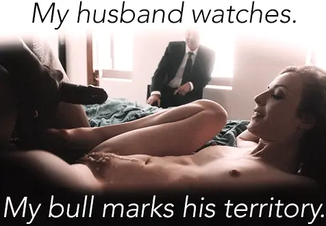 husband and bull