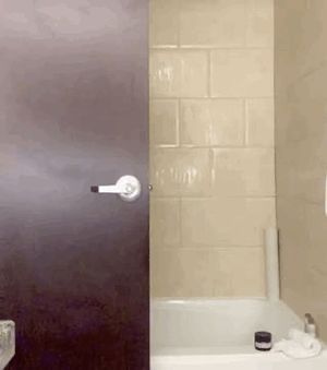 Kinda dildo... but balls...