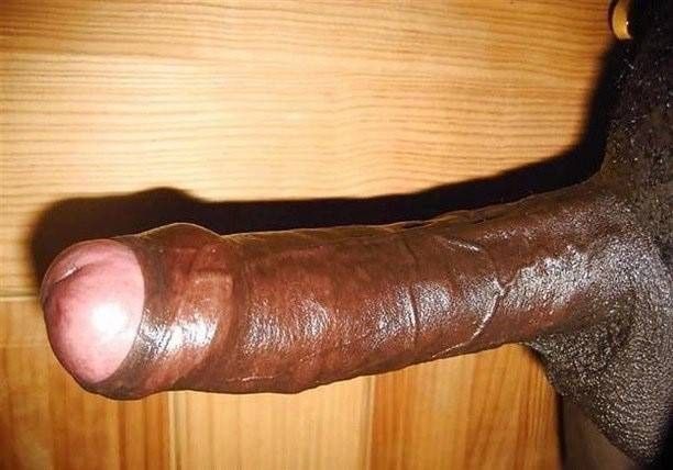 bbc
