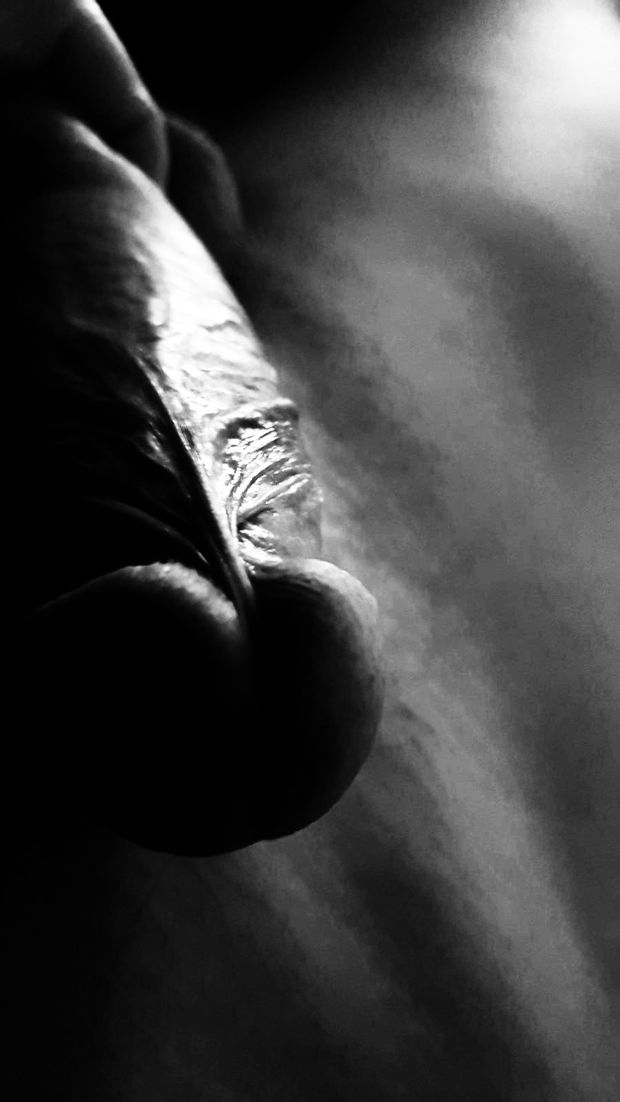 My Big Perfect Penis ????