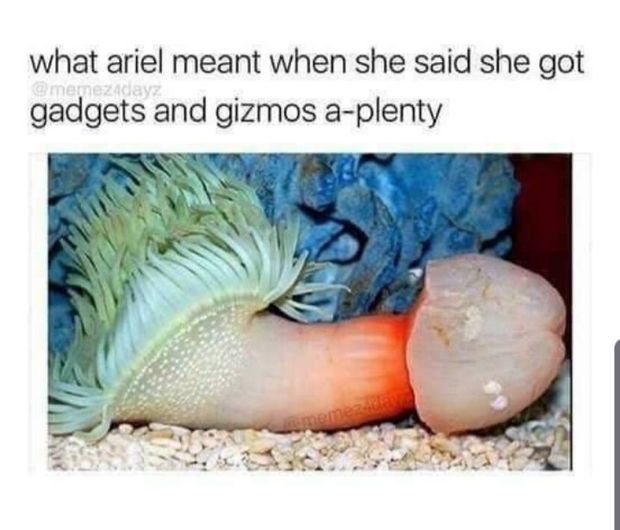 lol