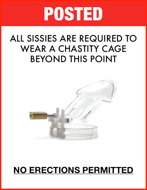 Sissies, you must wear a chastity cage : no érection permitted