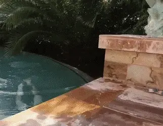 Brunette shaking her wet tits