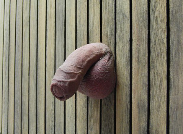 Hot limp uncut cock