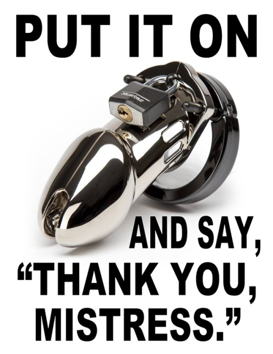 Put it on and say : thank you mistress