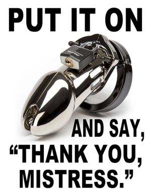 Put it on and say : thank you mistress