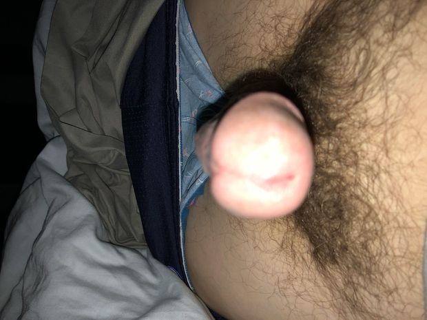 Penis