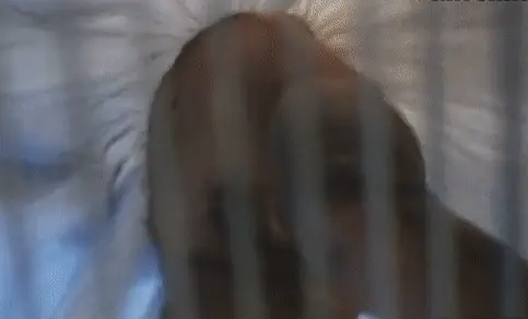 Marilyn no panties - 3
