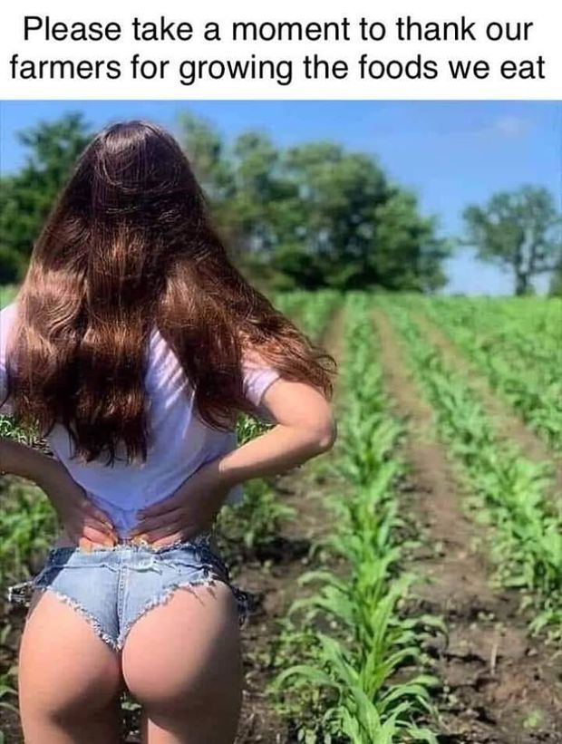 Farmer's daughter gap