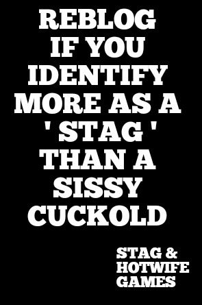 Pure Stag, not sissy