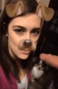 face filter 33