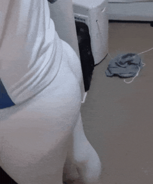assbandit3 Picture