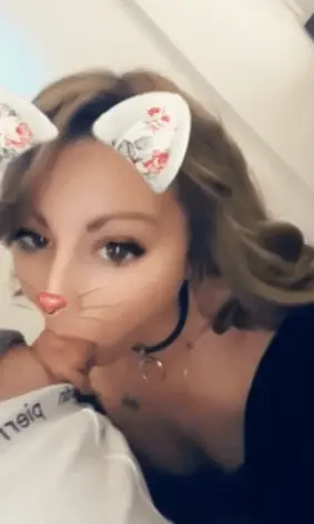 face filter 44