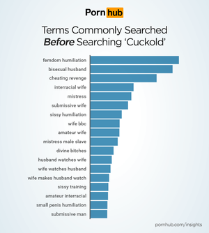 Searches