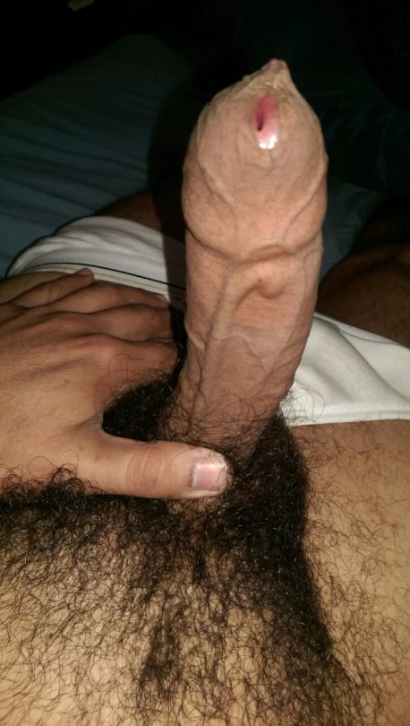 hairy uncut cock