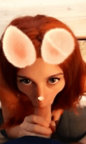 face filter 54