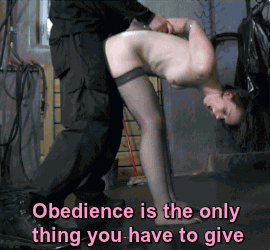 properly trained slave - Endless Porn