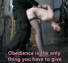 properly trained slave