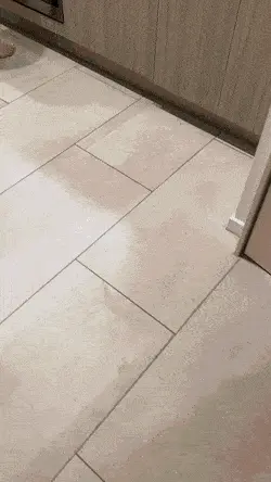 Playing with her nice ass and tits in the kitchen