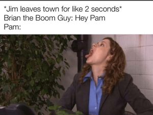 Pam no doubt fucked Brian “The Boom” guy when times were rough