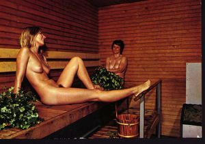 vintage sauna photo