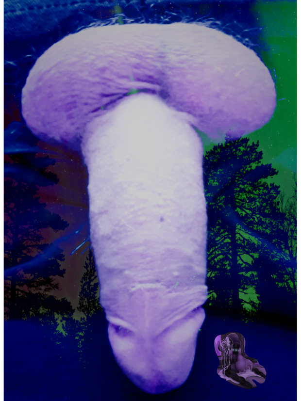 Dick dick dick dick