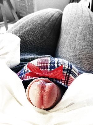 Plaid Panties with Red Bow