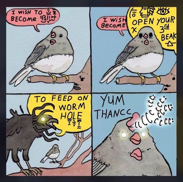 aaaaaaaaa birb