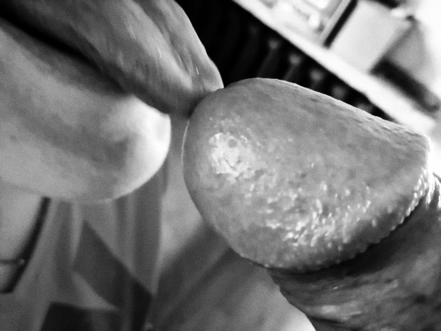Penis Licking