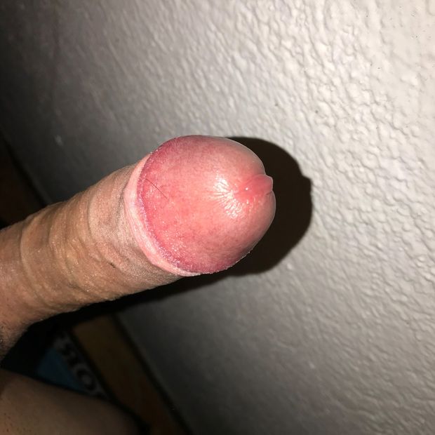 College penis