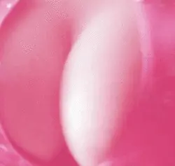 shake 'em!