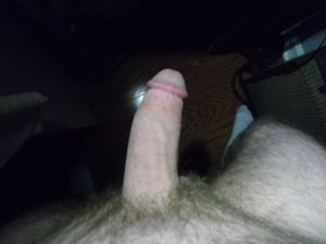 Curiouso's Cock 3