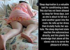 RoughStud69 Put his wife through training and can train yours as well.