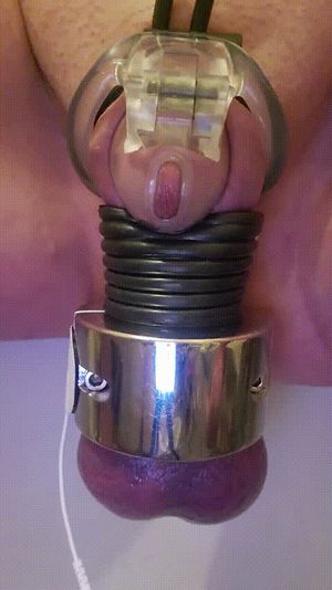 Dripping precum by electro torture in nub chastity