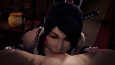 dead or alive - momiji (ninja gaiden) (pockyin)