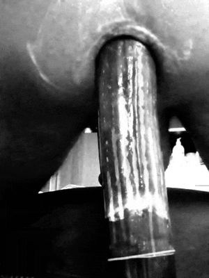 I love inserting long stuff up my ass