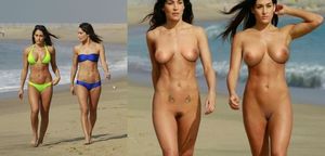 nikki and brie bella