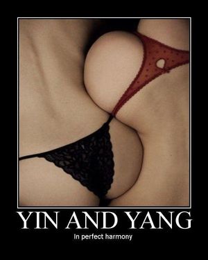 yin and yang