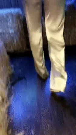 Kylie Jenner shakes her big ass