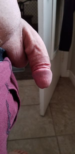 Curved cock hanging right