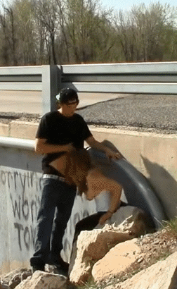 bj on the bridge