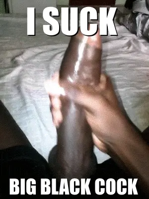 I Suck Big Black Cock