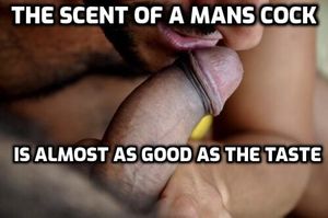 i do like the smell of the cocks i have sucked