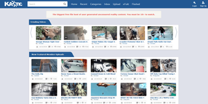 Kaotic Review & 9 Craziest Porn sites List!